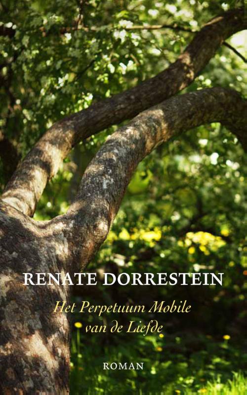 Het perpetuum mobile van de liefde (Ebook)