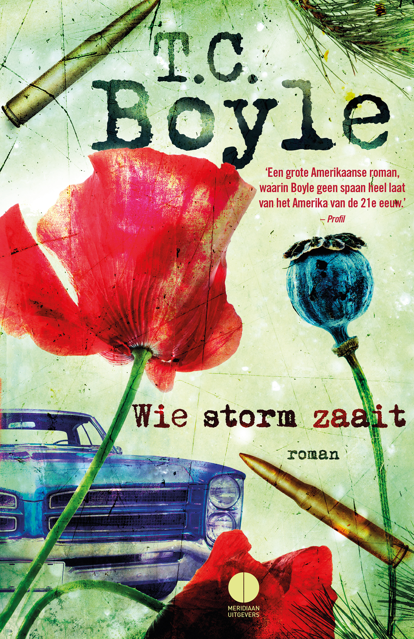 Wie storm zaait (Ebook)