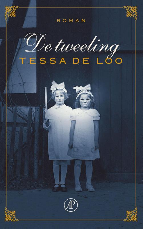 De tweeling (Ebook)