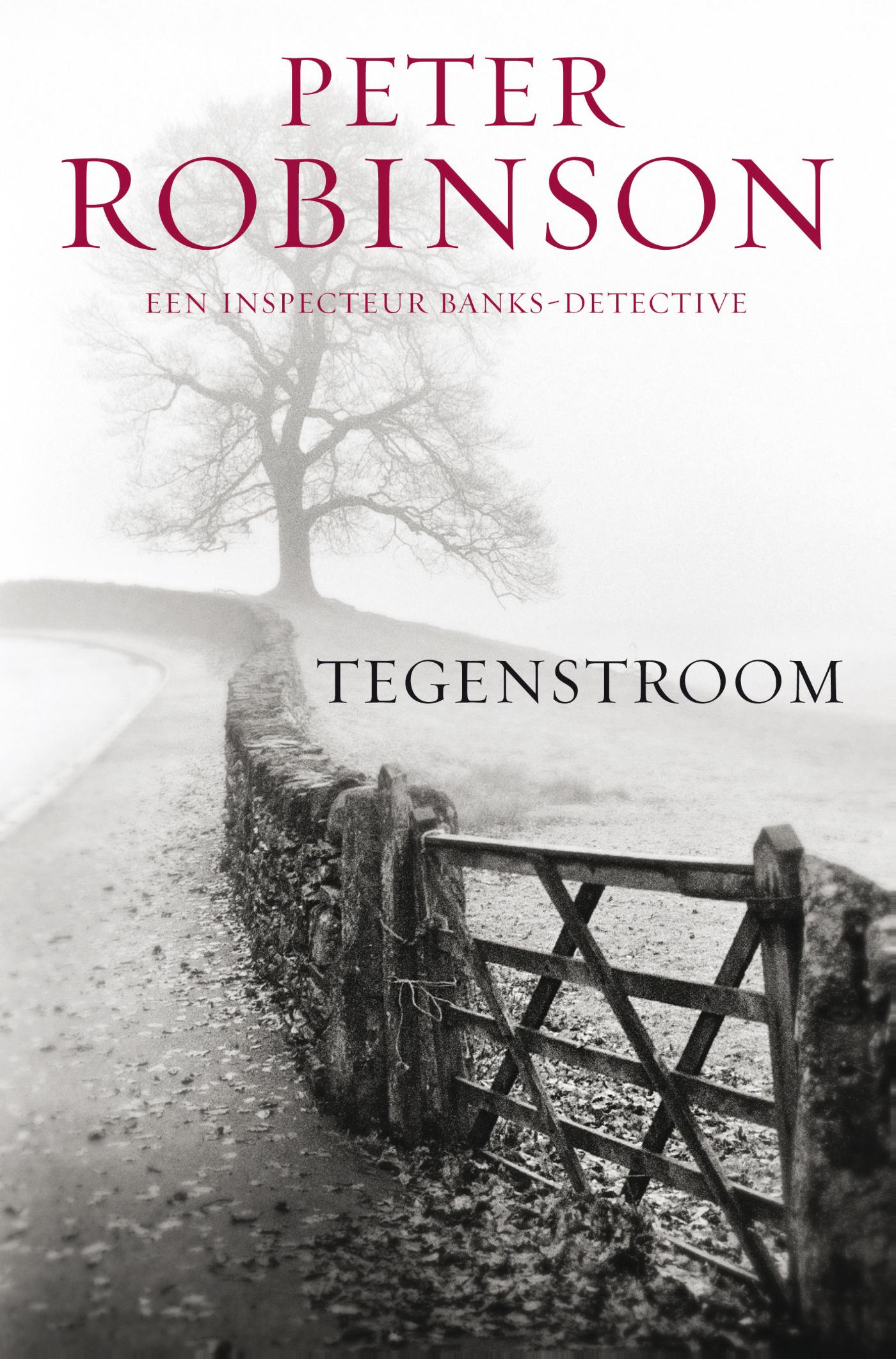 Tegenstroom (Ebook)