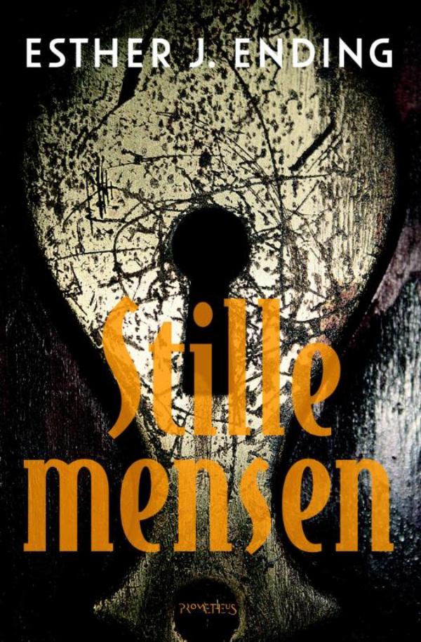 Stille mensen (Ebook)