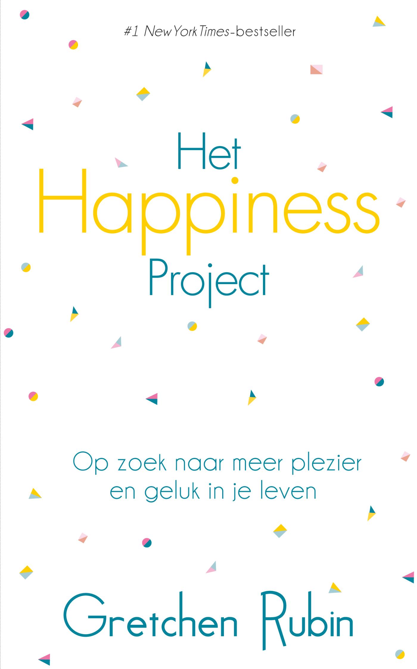 Het Happiness project (Ebook)