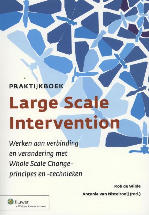 Praktijkboek large scale intervention (Ebook)