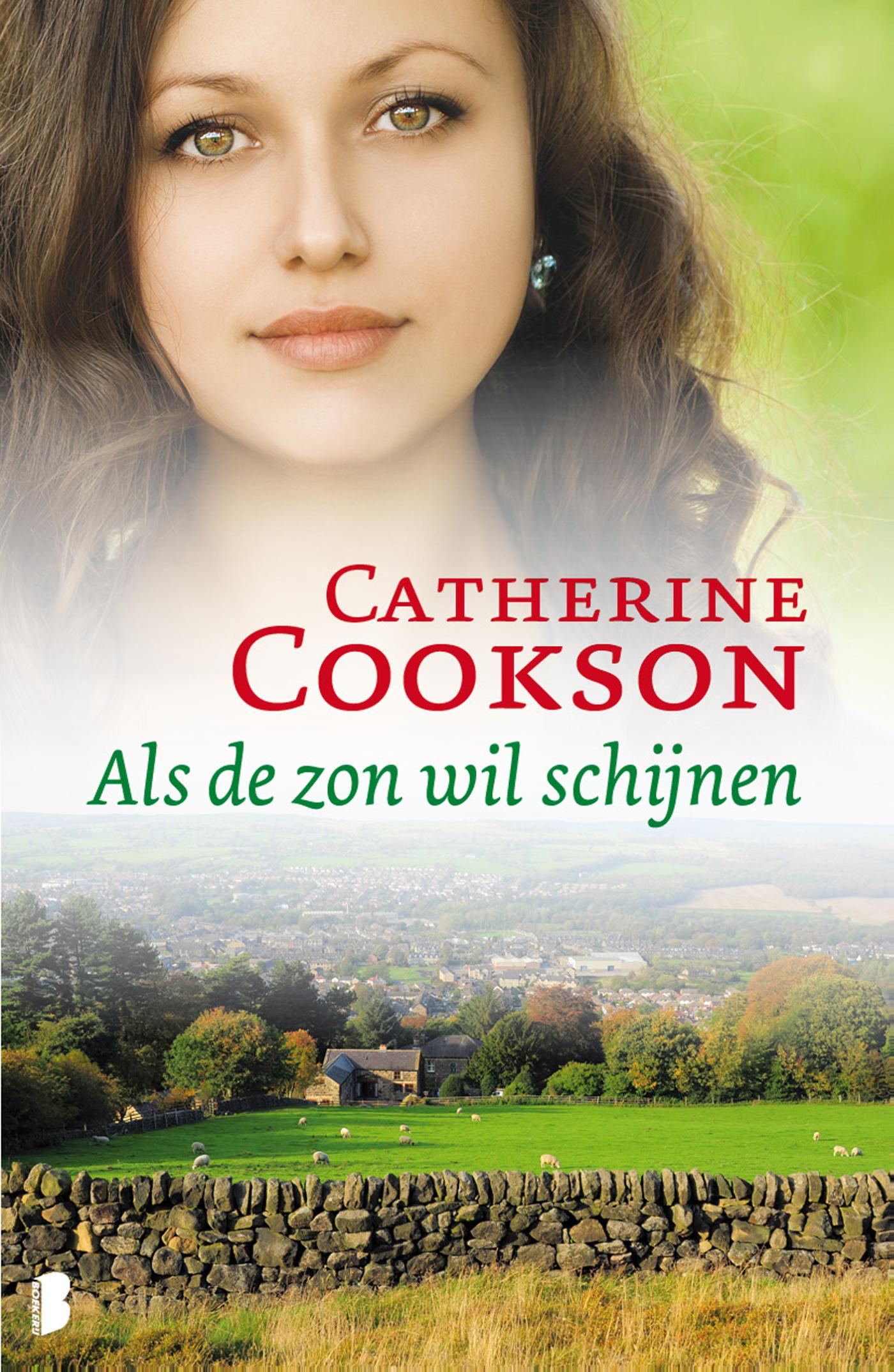 Als de zon wil schijnen (Ebook)