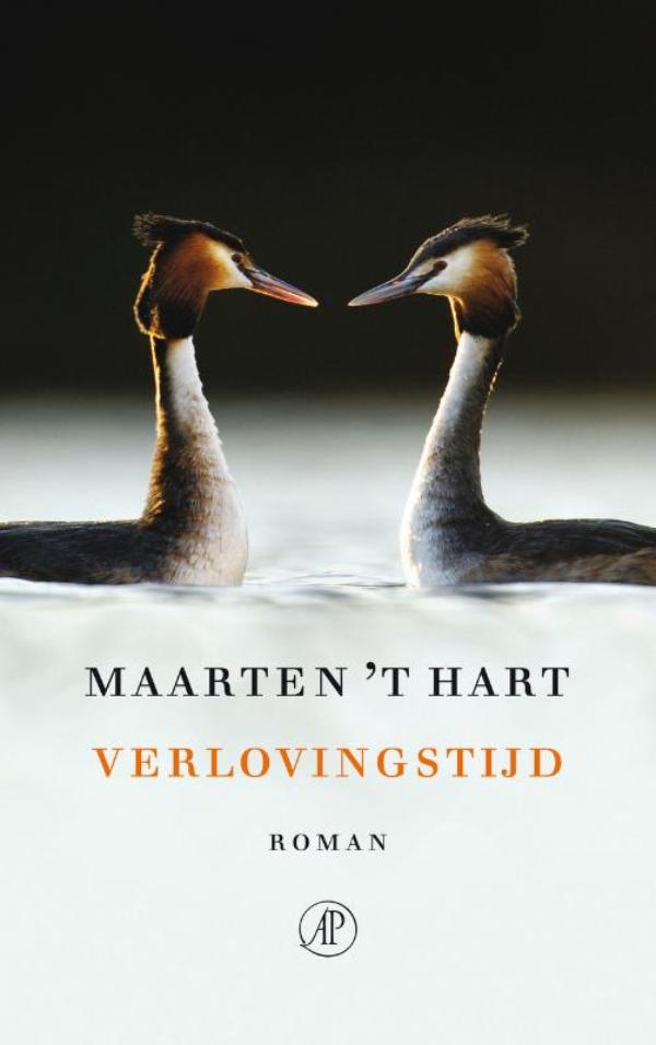 Verlovingstijd (Ebook)