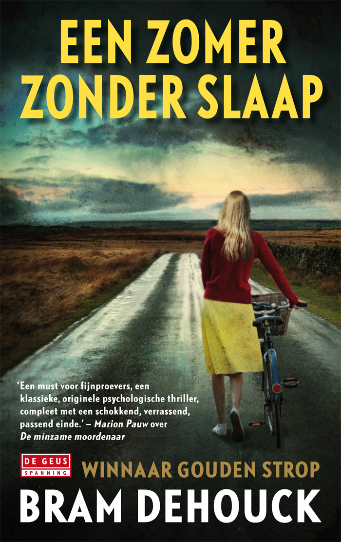 Een zomer zonder slaap (Ebook)