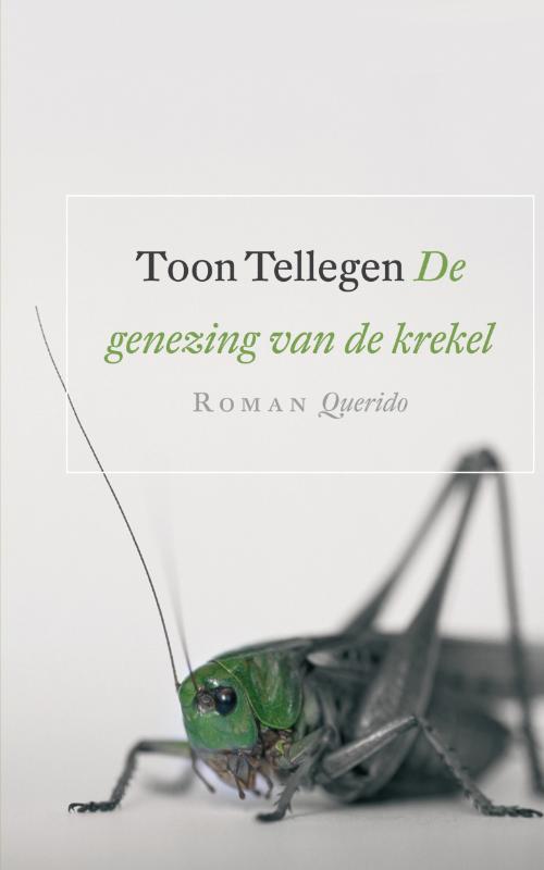 De genezing van de krekel (Ebook)