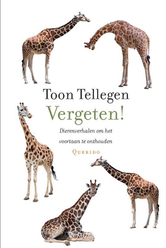 Vergeten! (Ebook)