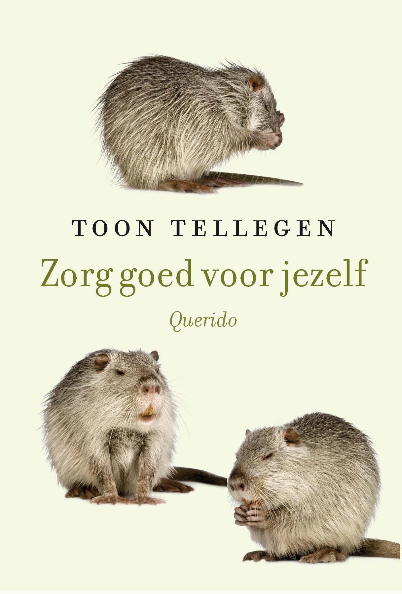 Zorg goed voor jezelf (Ebook)