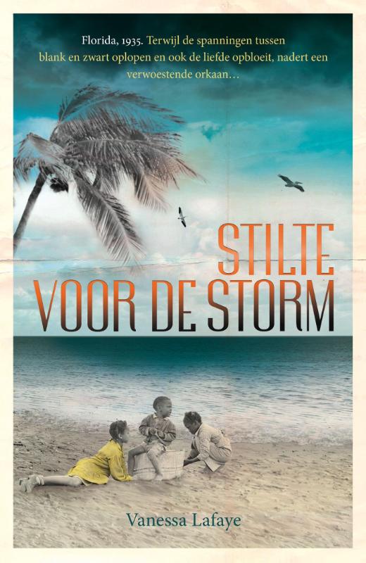 Stilte voor de storm (Ebook)