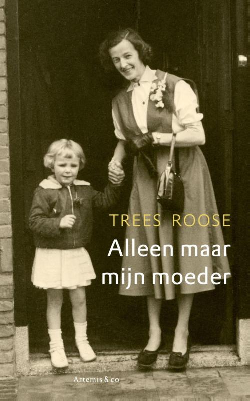 Alleen maar mijn moeder (Ebook)