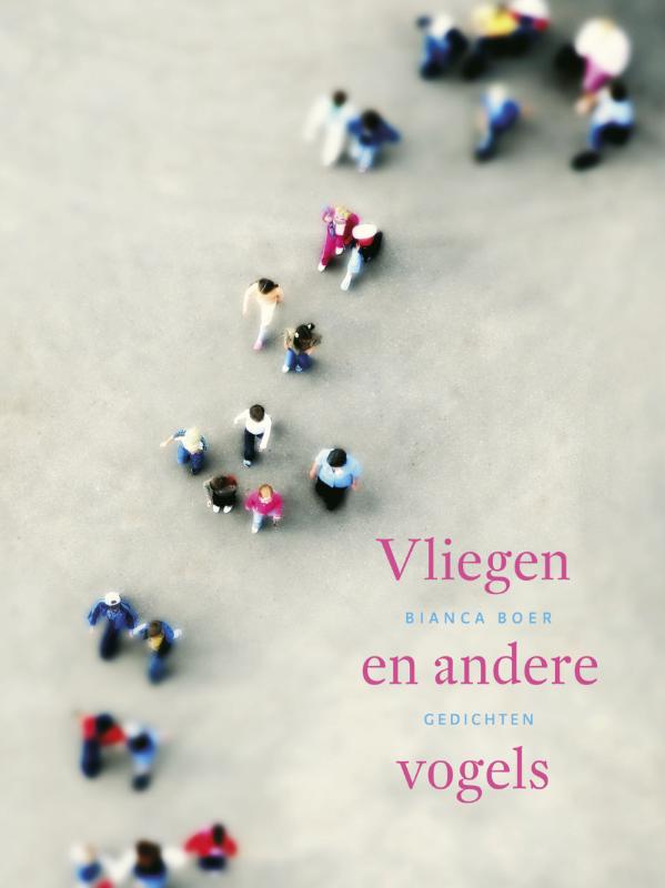 Vliegen en andere vogels (Ebook)