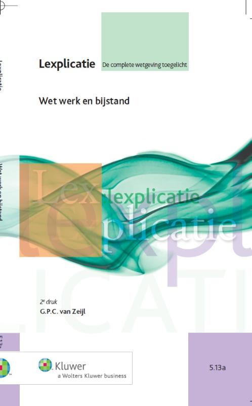 Wet werk en bijstand (Ebook)