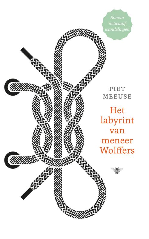 Het labyrint van meneer Wolffers (Ebook)