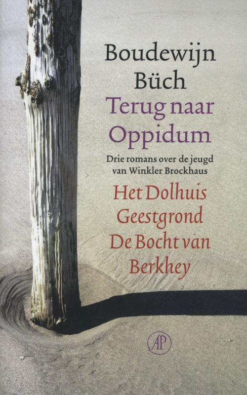 Terug naar Oppidum (Ebook)