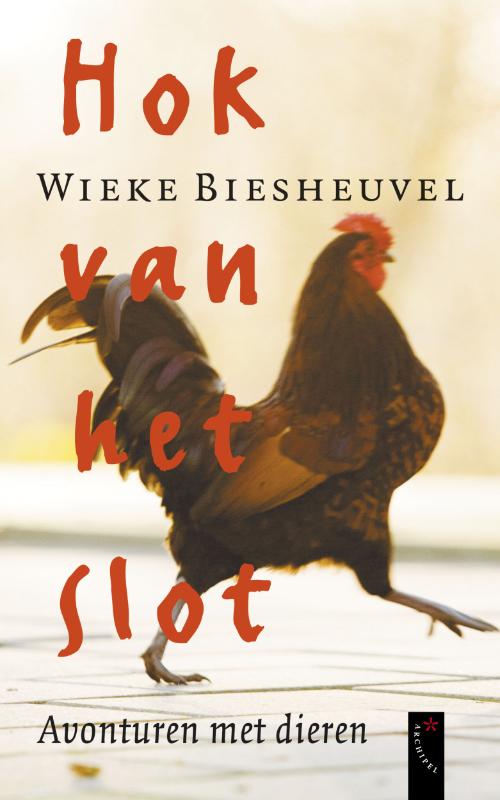 Hok van het slot (Ebook)