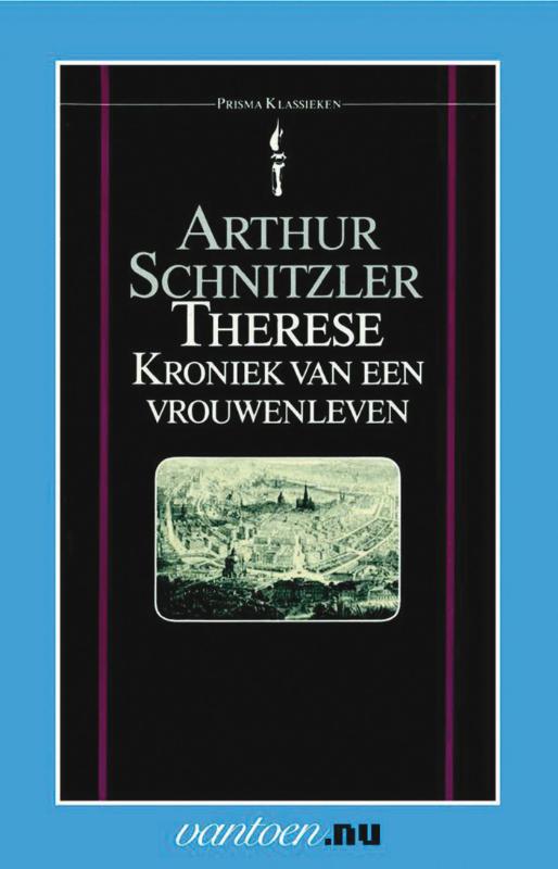 Therese, kroniek van een vrouwenleven (Ebook)