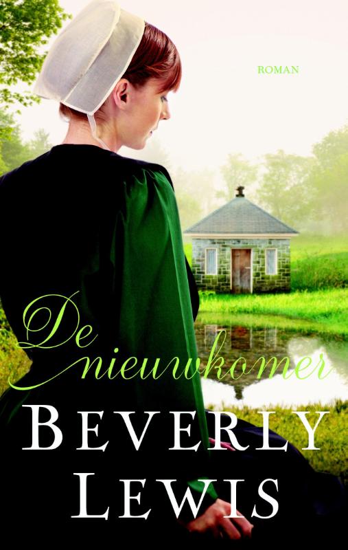 De nieuwkomer (Ebook)