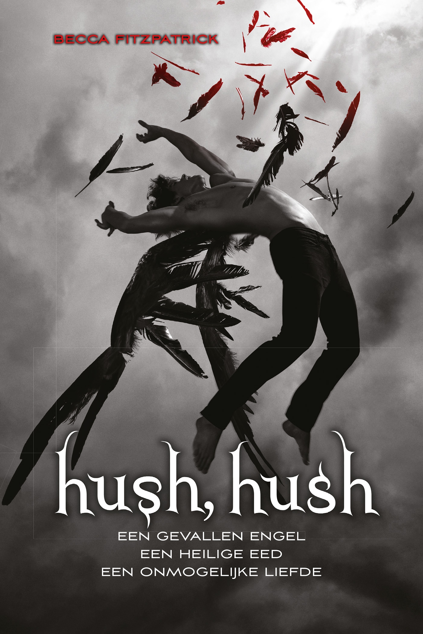Hush, hush (Ebook)