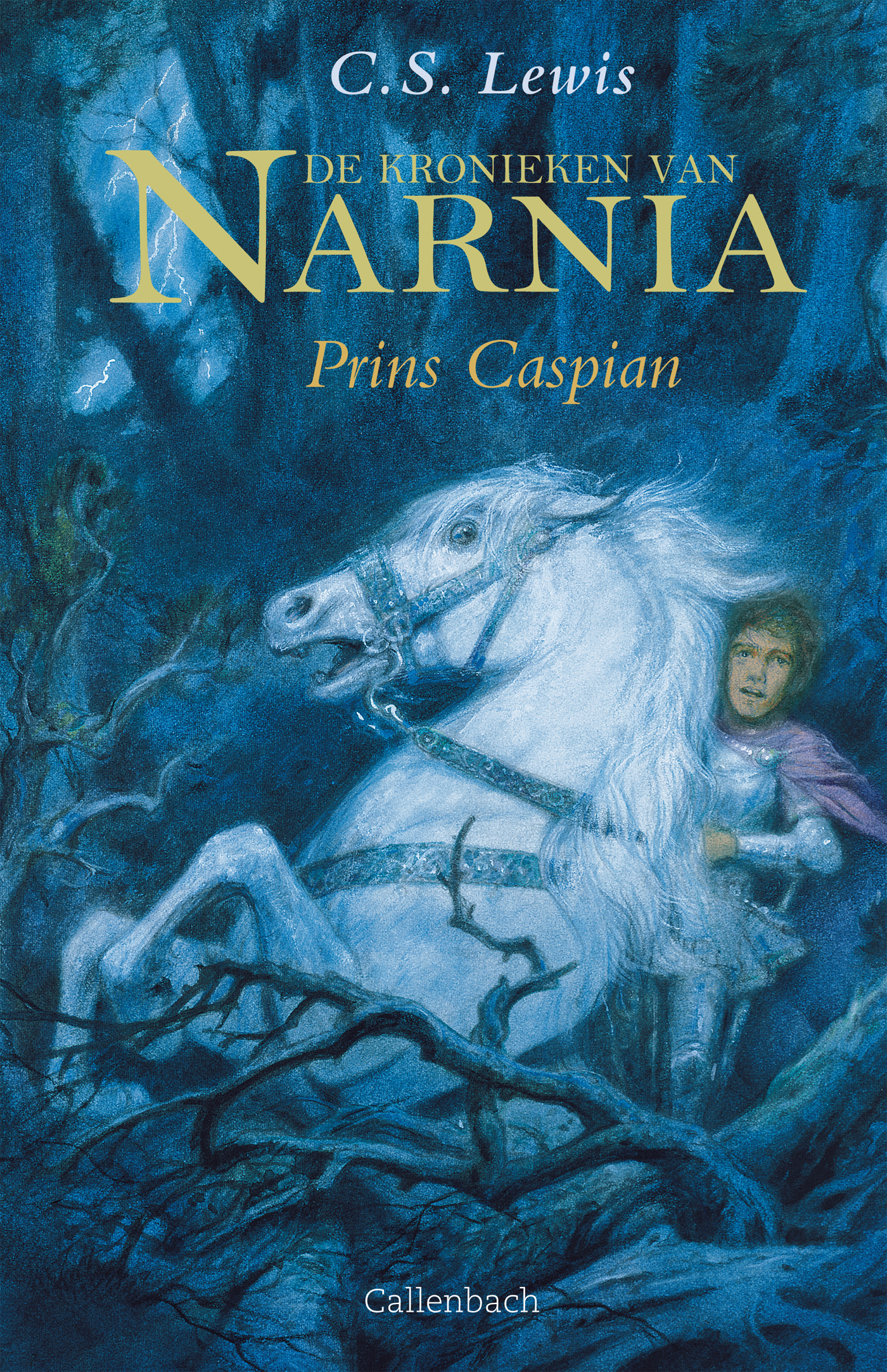 Prins Caspian (Ebook)