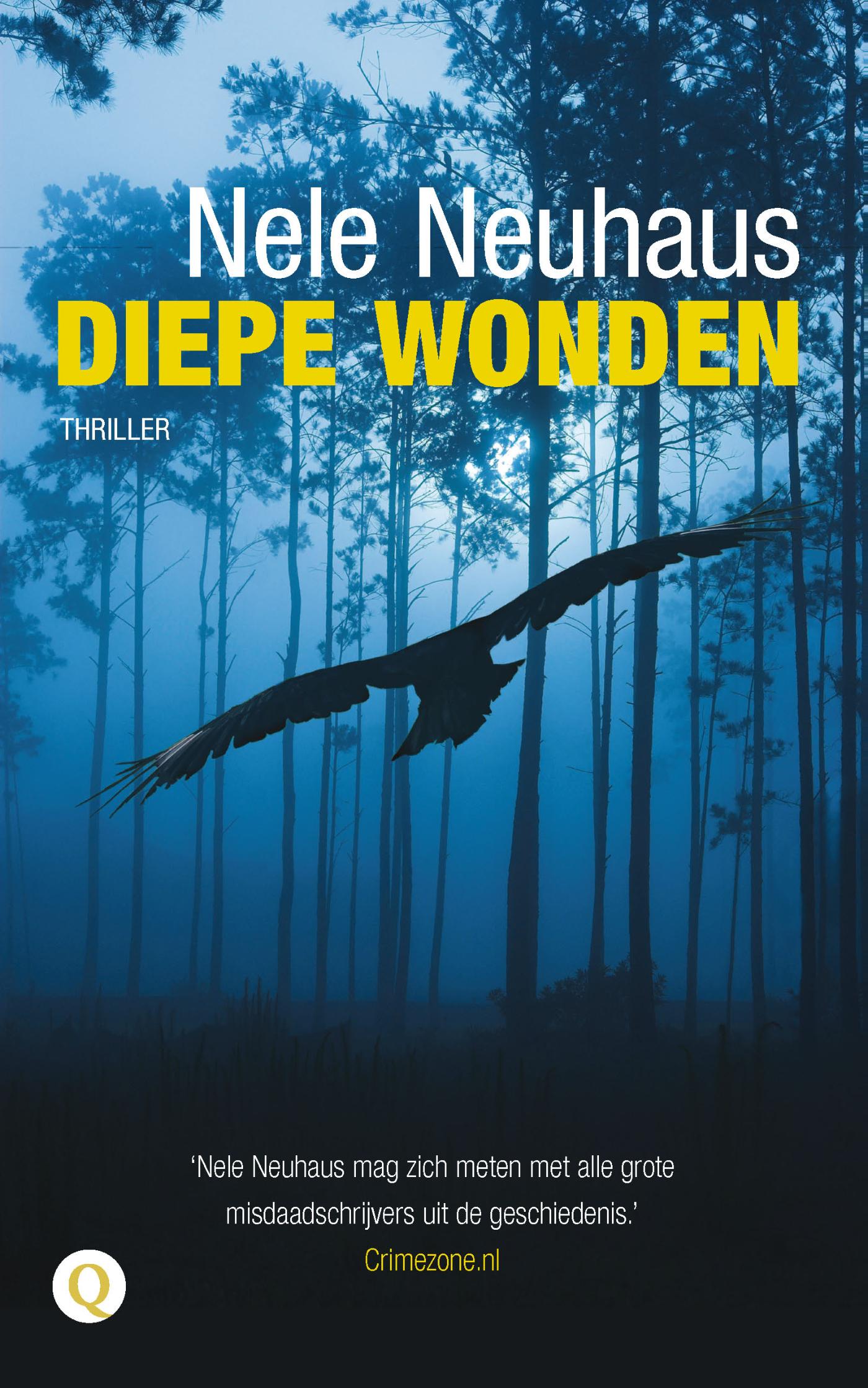 Diepe wonden (Ebook)