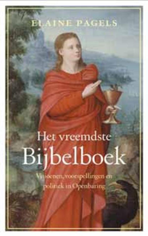 Het vreemdste Bijbelboek (Ebook)