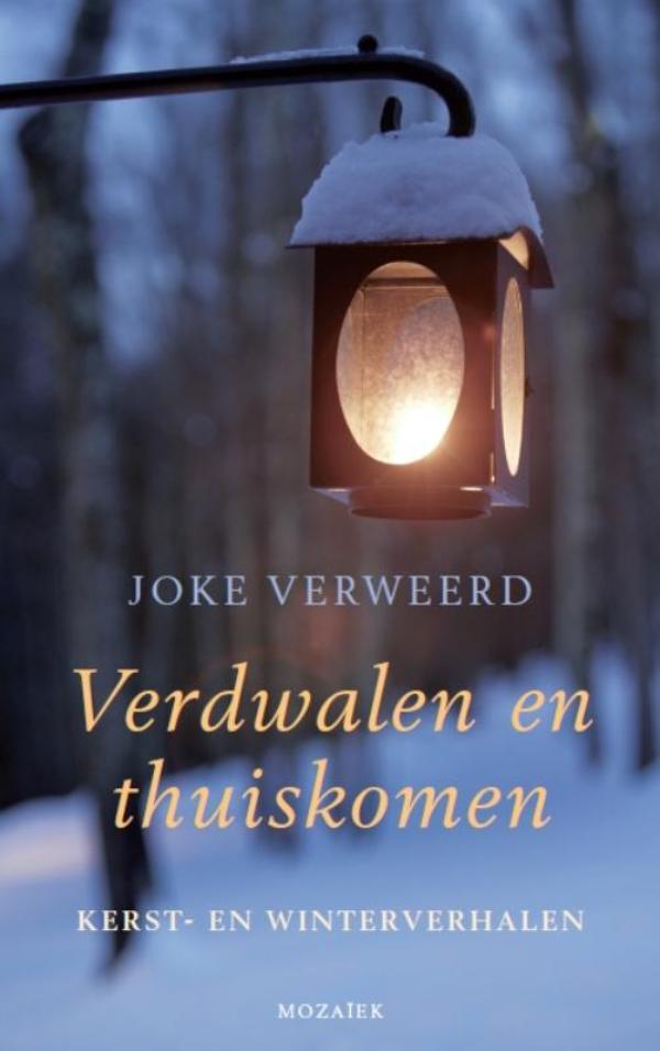 Verdwalen en thuiskomen (Ebook)