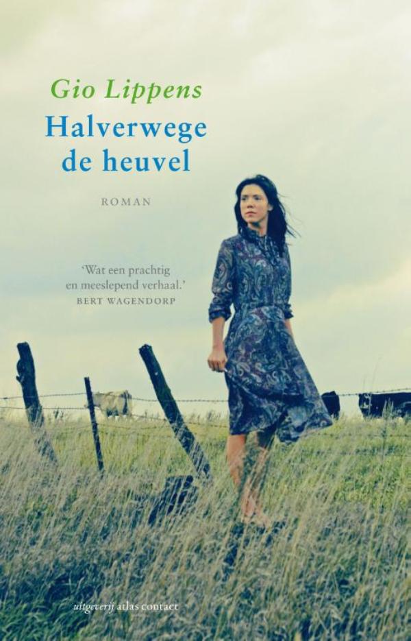 Halverwege de heuvel (Ebook)