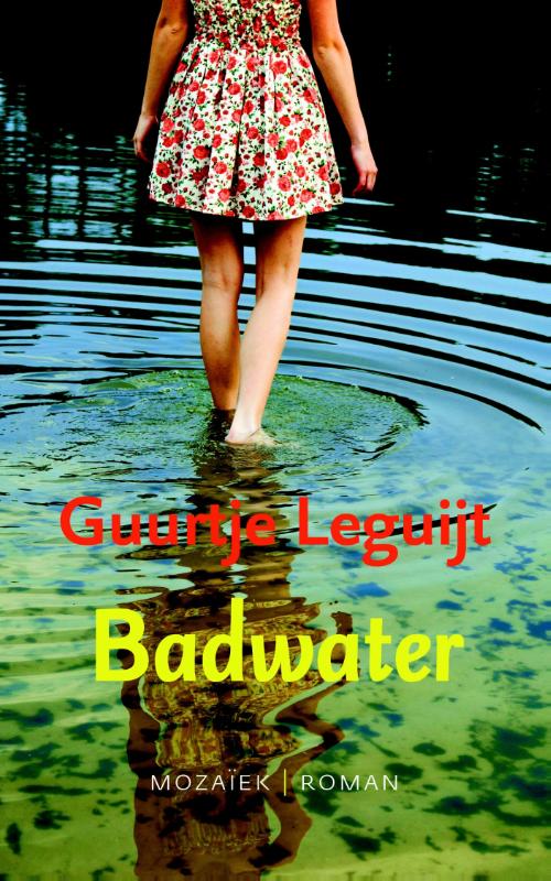 Badwater (Ebook)