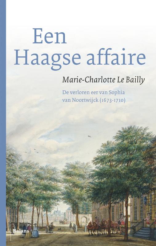 Een Haagse affaire (Ebook)