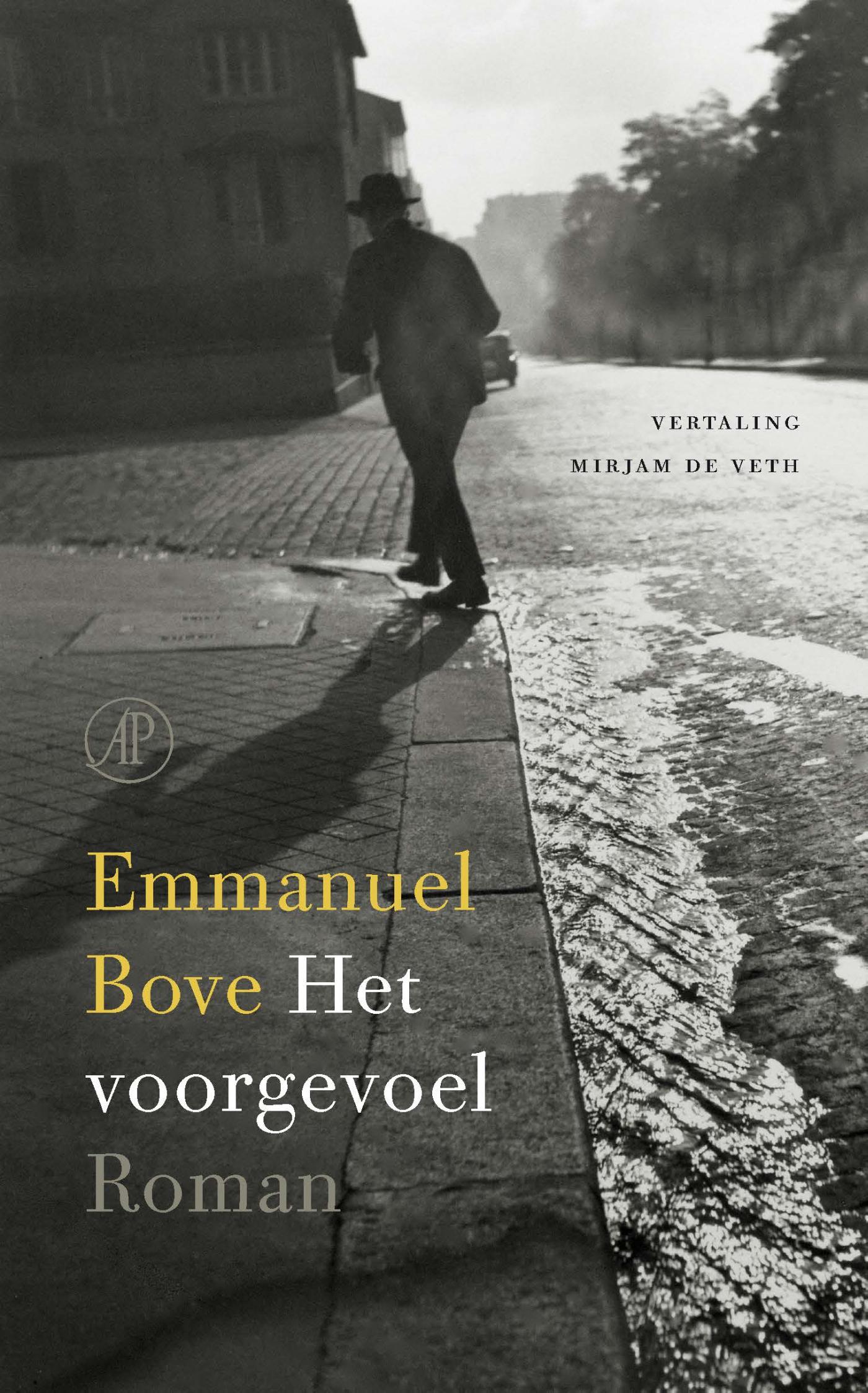 Het voorgevoel (Ebook)