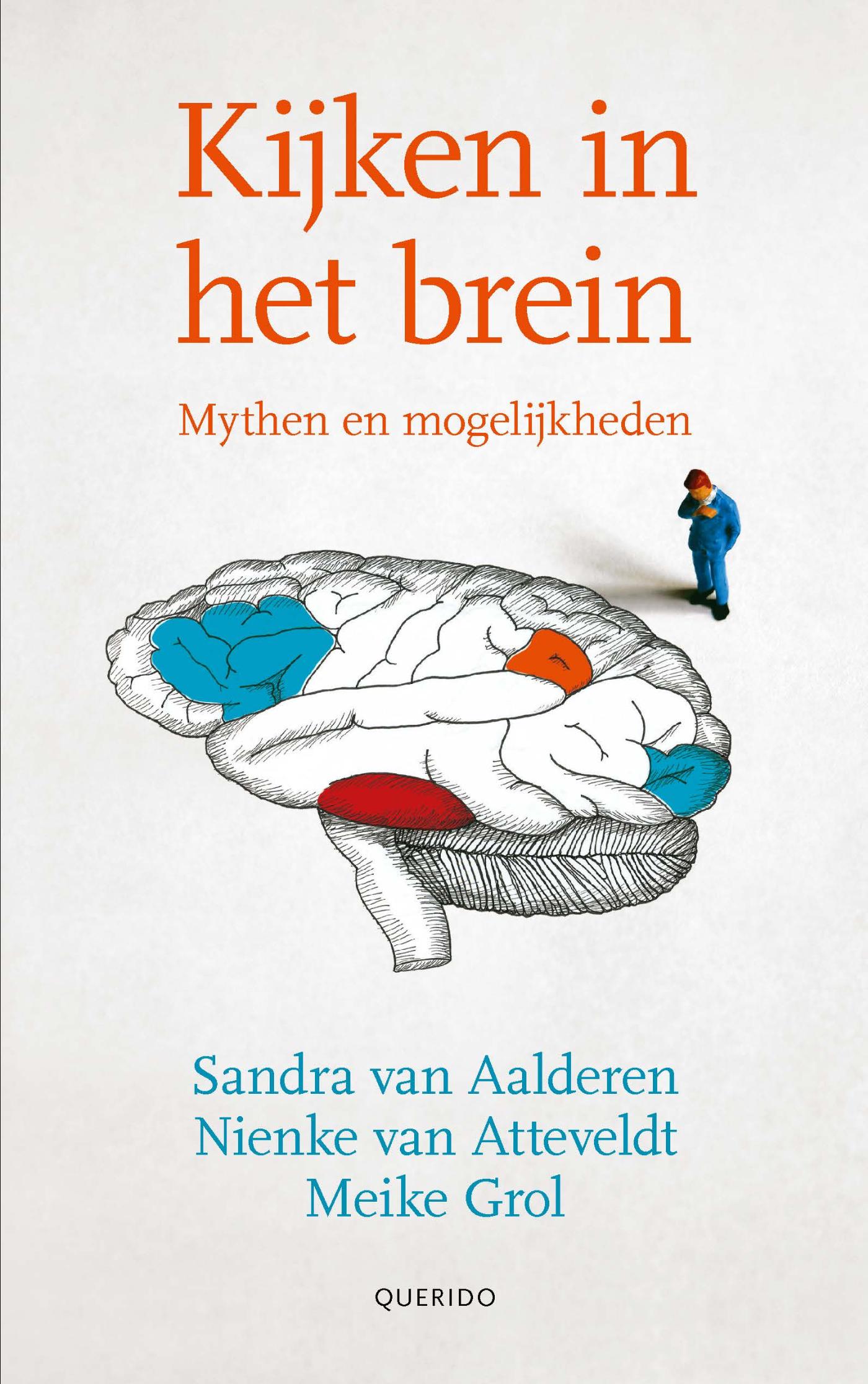 Kijken in het brein (Ebook)