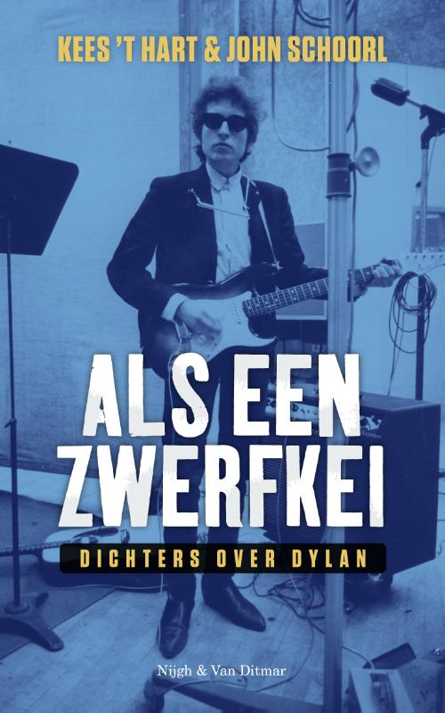 Als een zwerfkei (Ebook)