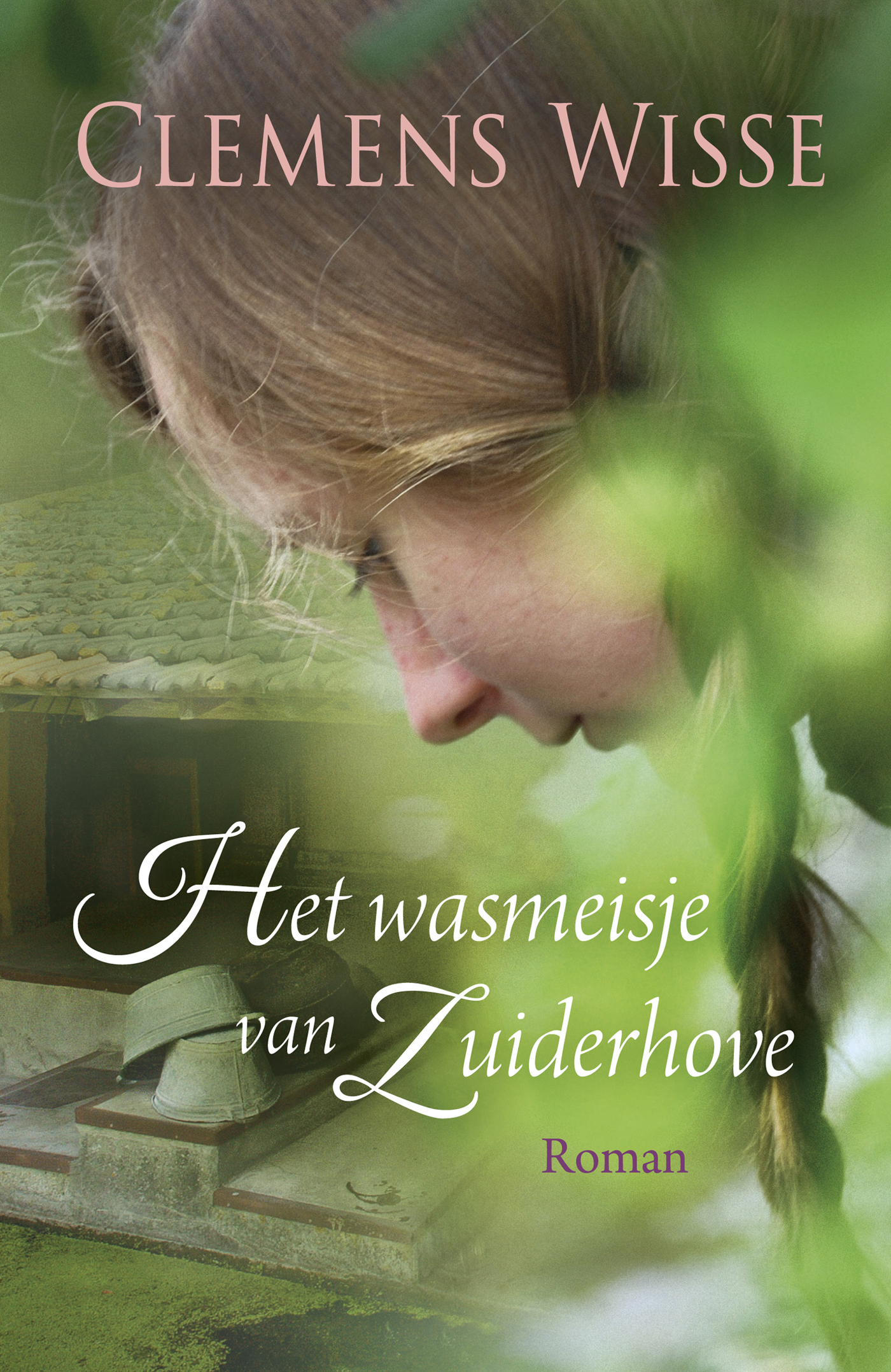 Het wasmeisje van Zuiderhove (Ebook)