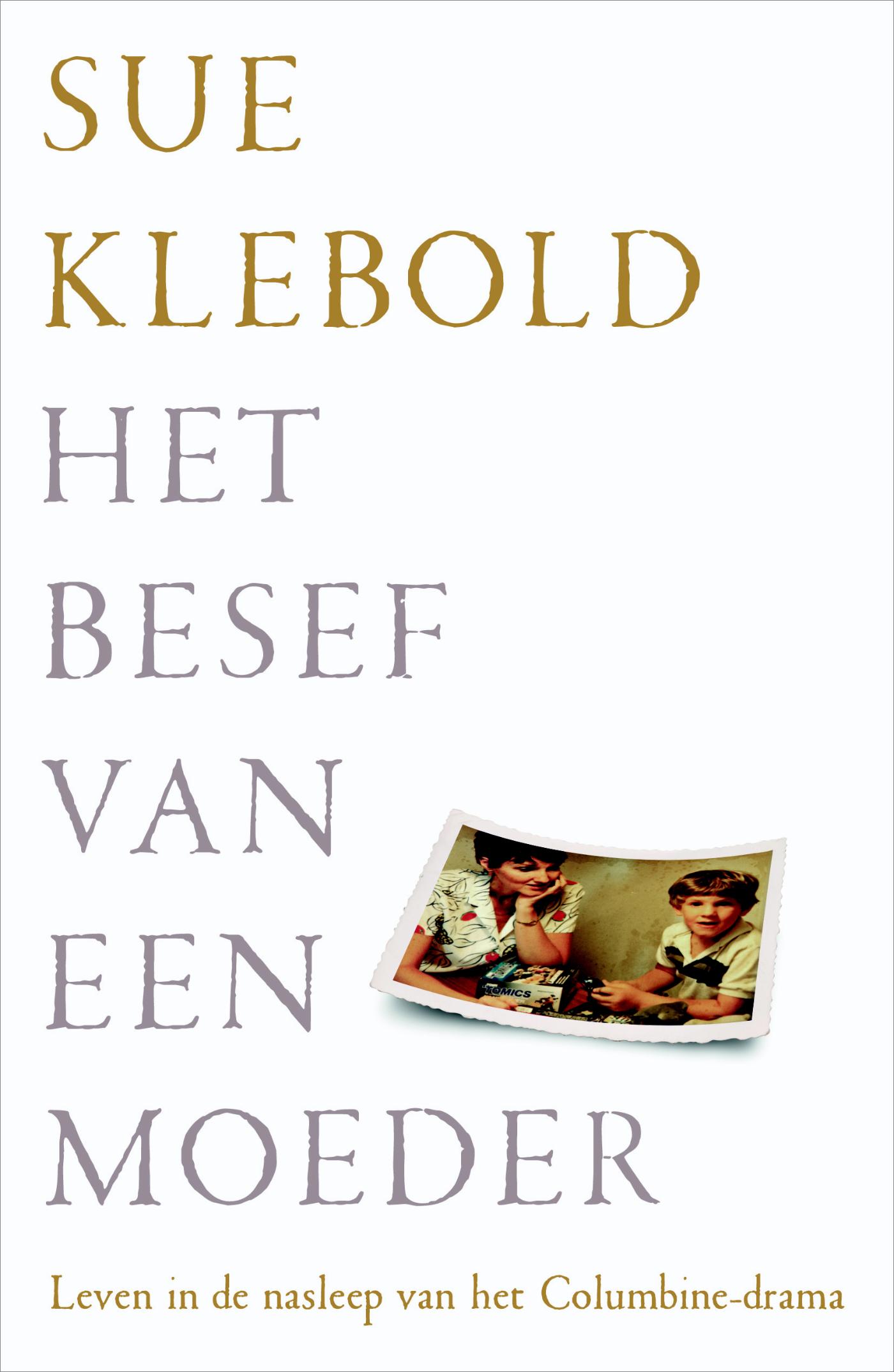 Het besef van een moeder (Ebook)