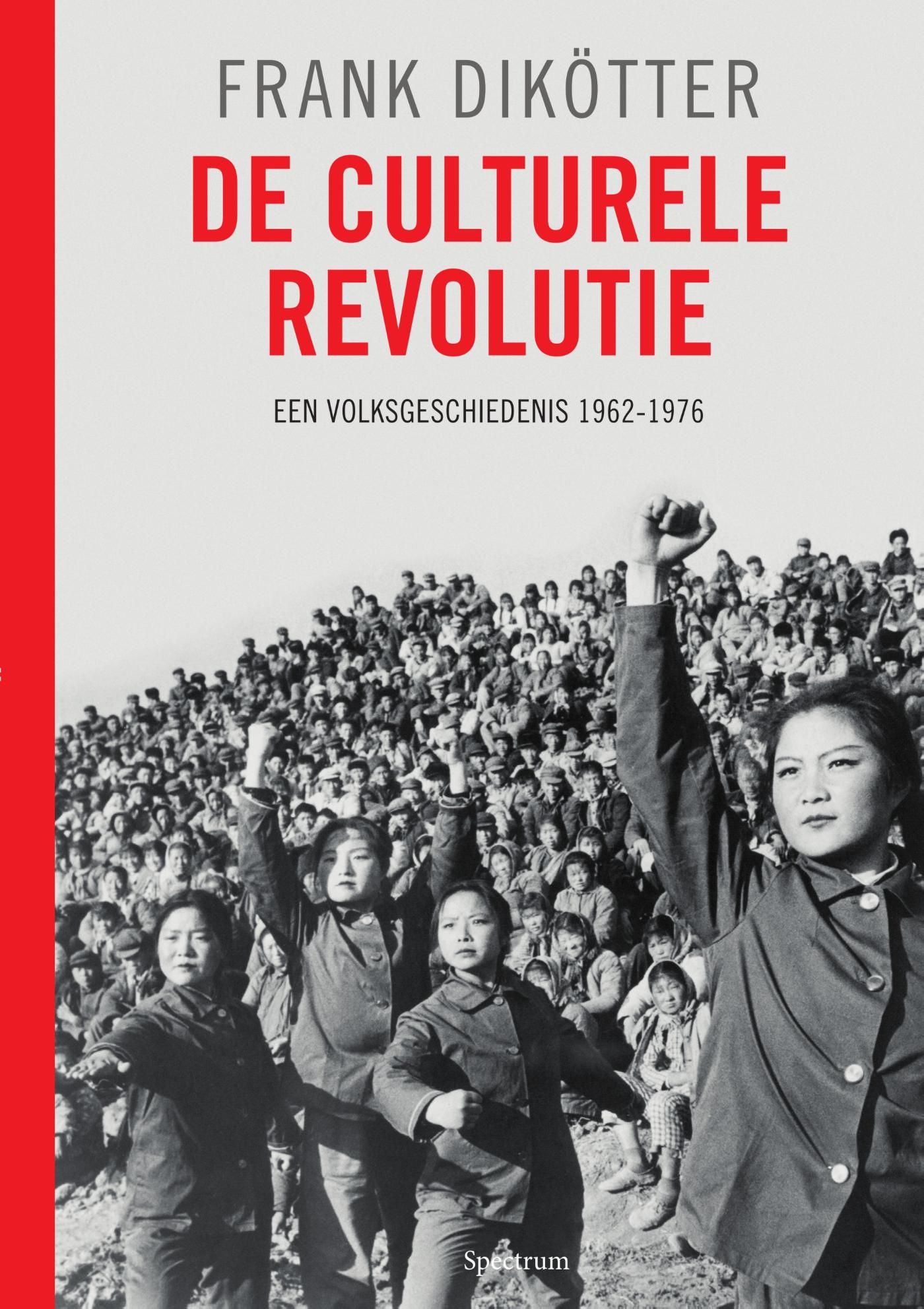 De culturele revolutie (Ebook)
