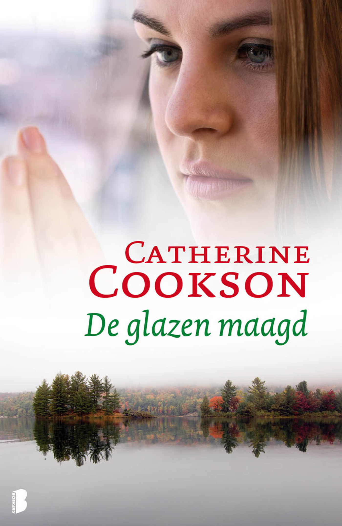 De glazen maagd (Ebook)