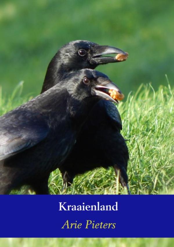 Kraaienland