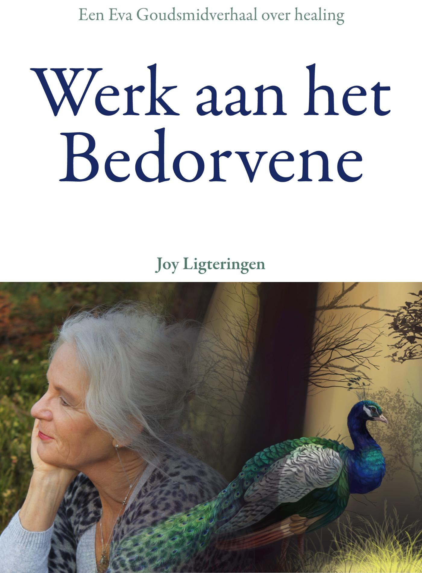 Werk aan het bedorvene (Ebook)