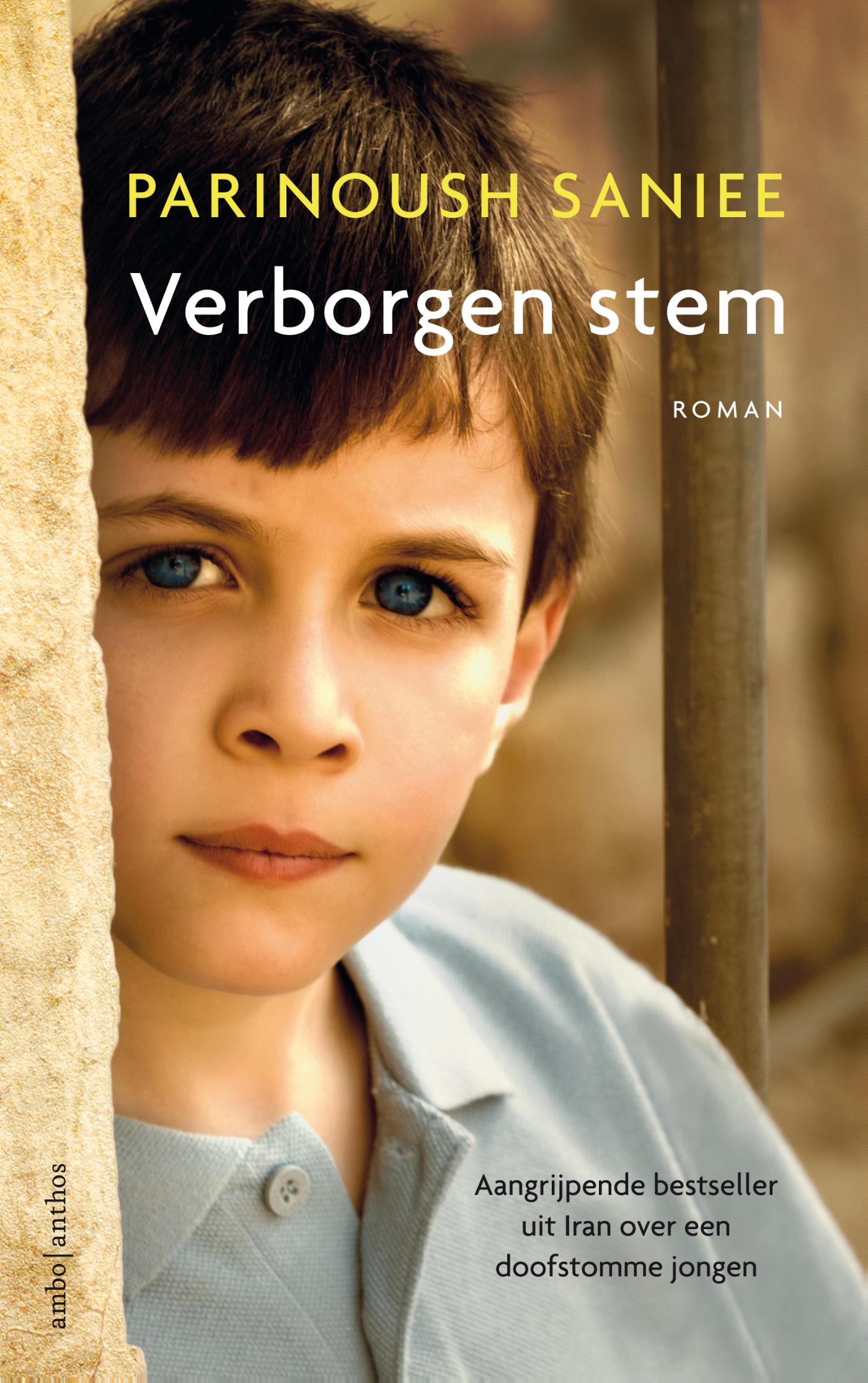 Verborgen stem (Ebook)