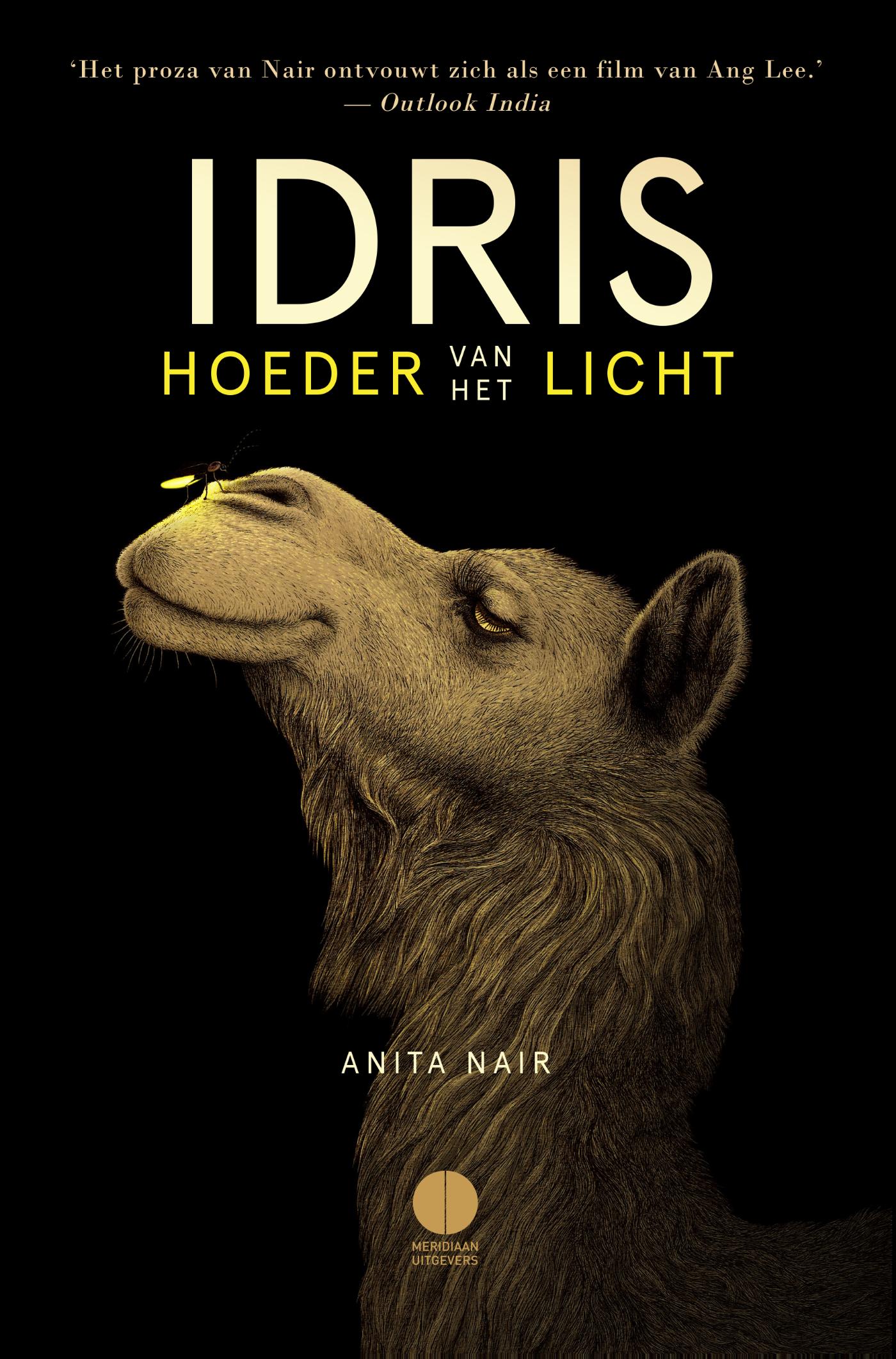 Idris, hoeder van het licht (Ebook)