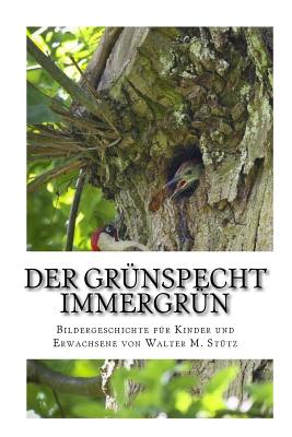 Der Grünspecht Immergrün