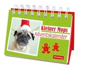 Kleiner Mops Adventskalender Geschenkbuch