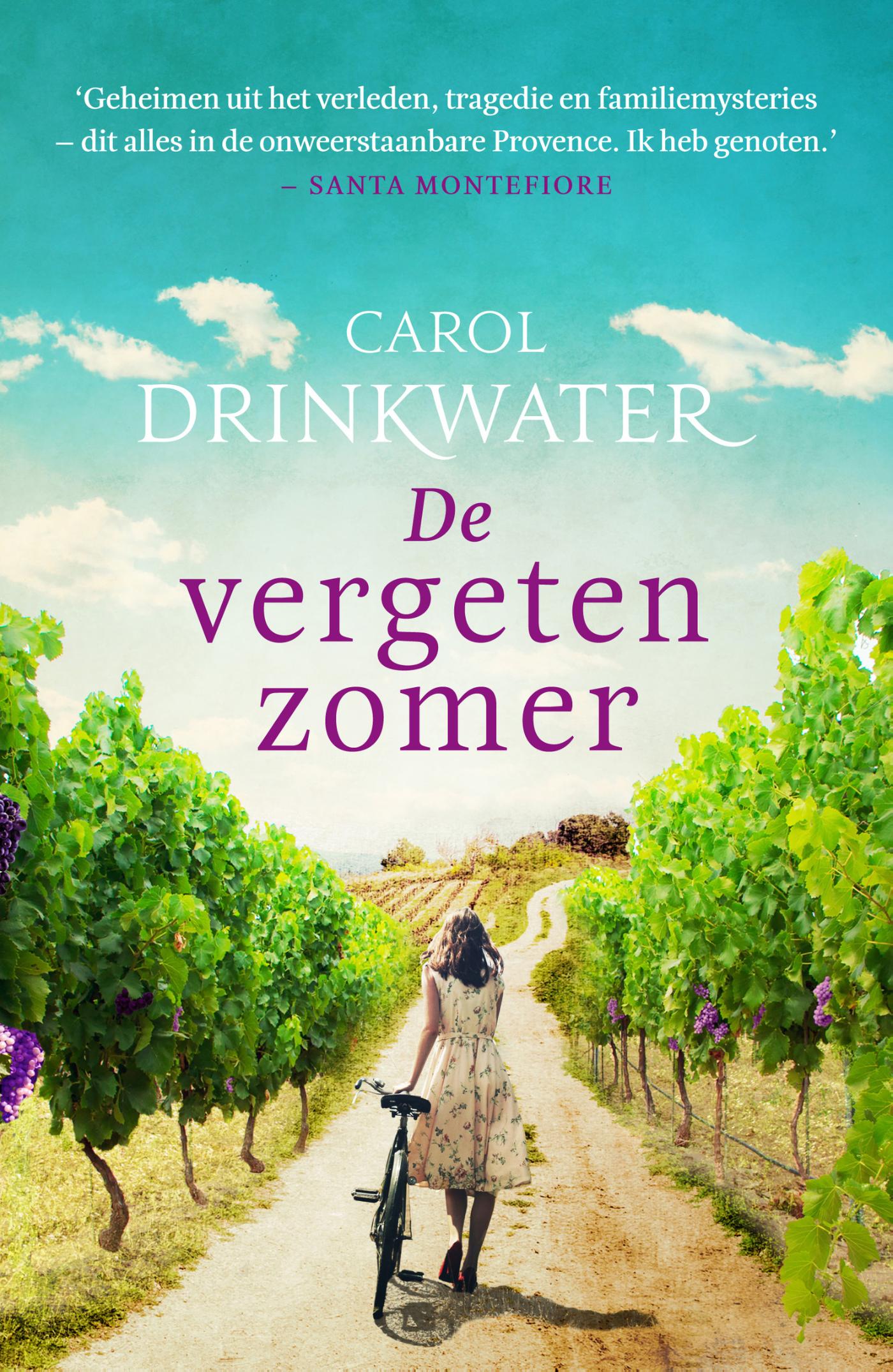 De vergeten zomer (Ebook)