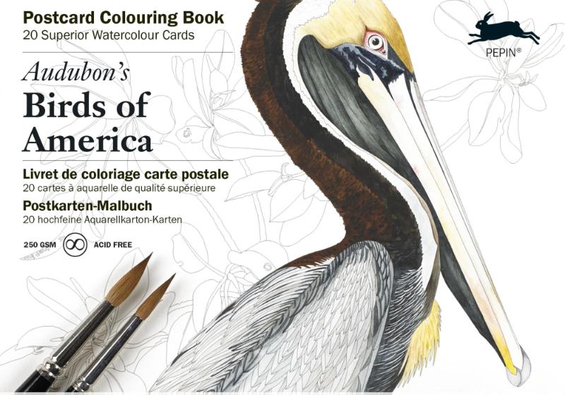 Audubon's birds of America