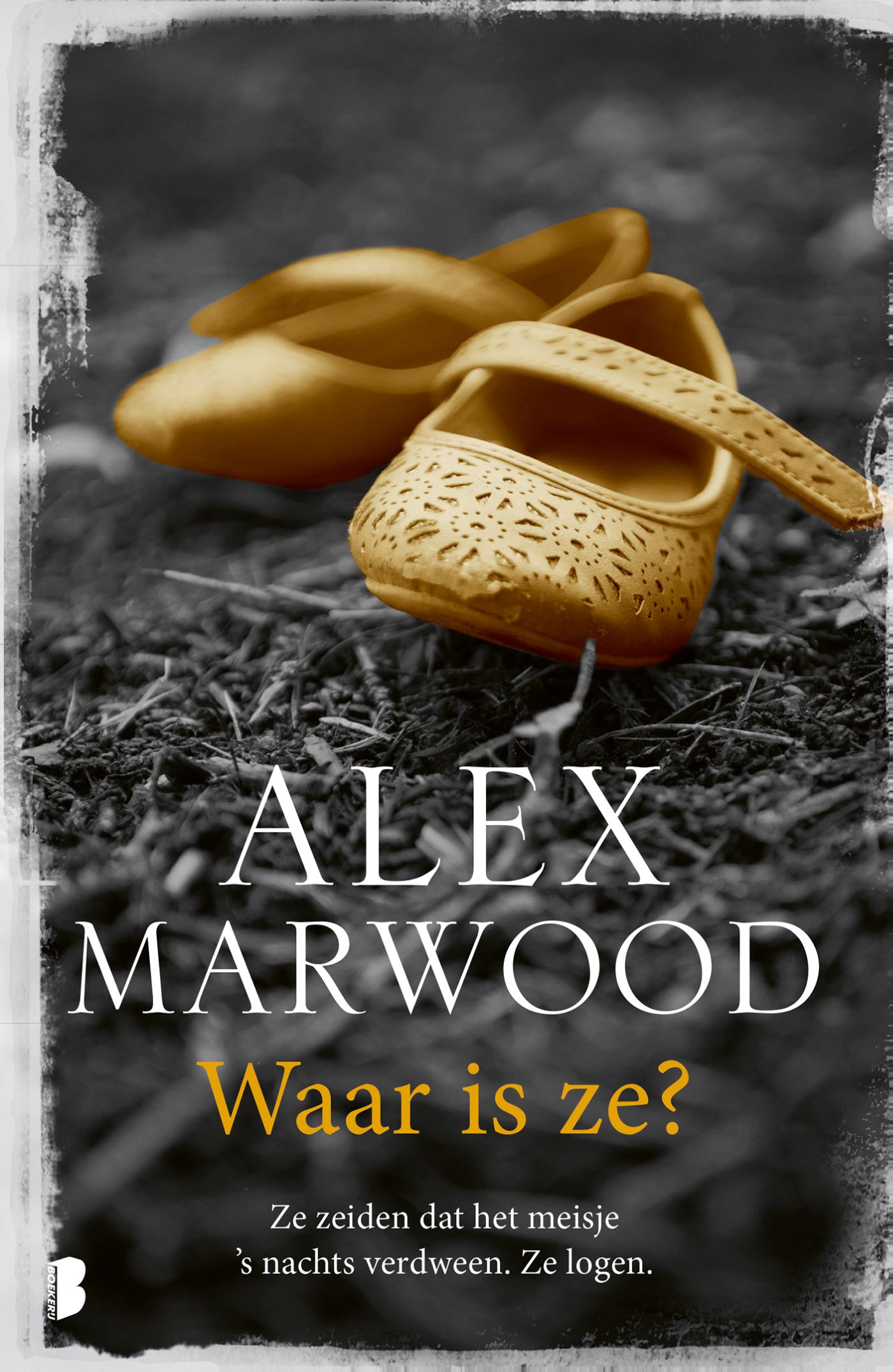 Waar is ze? (Ebook)