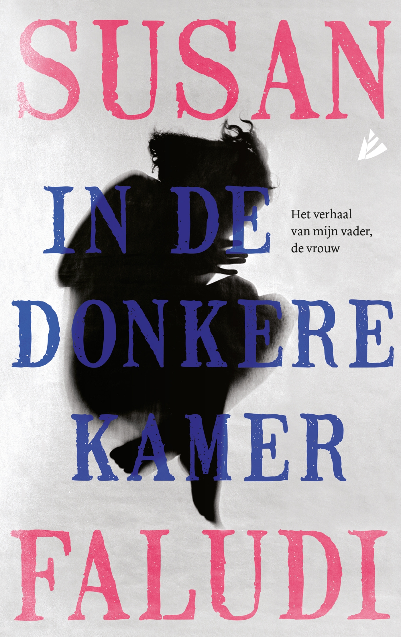 In de donkere kamer (Ebook)