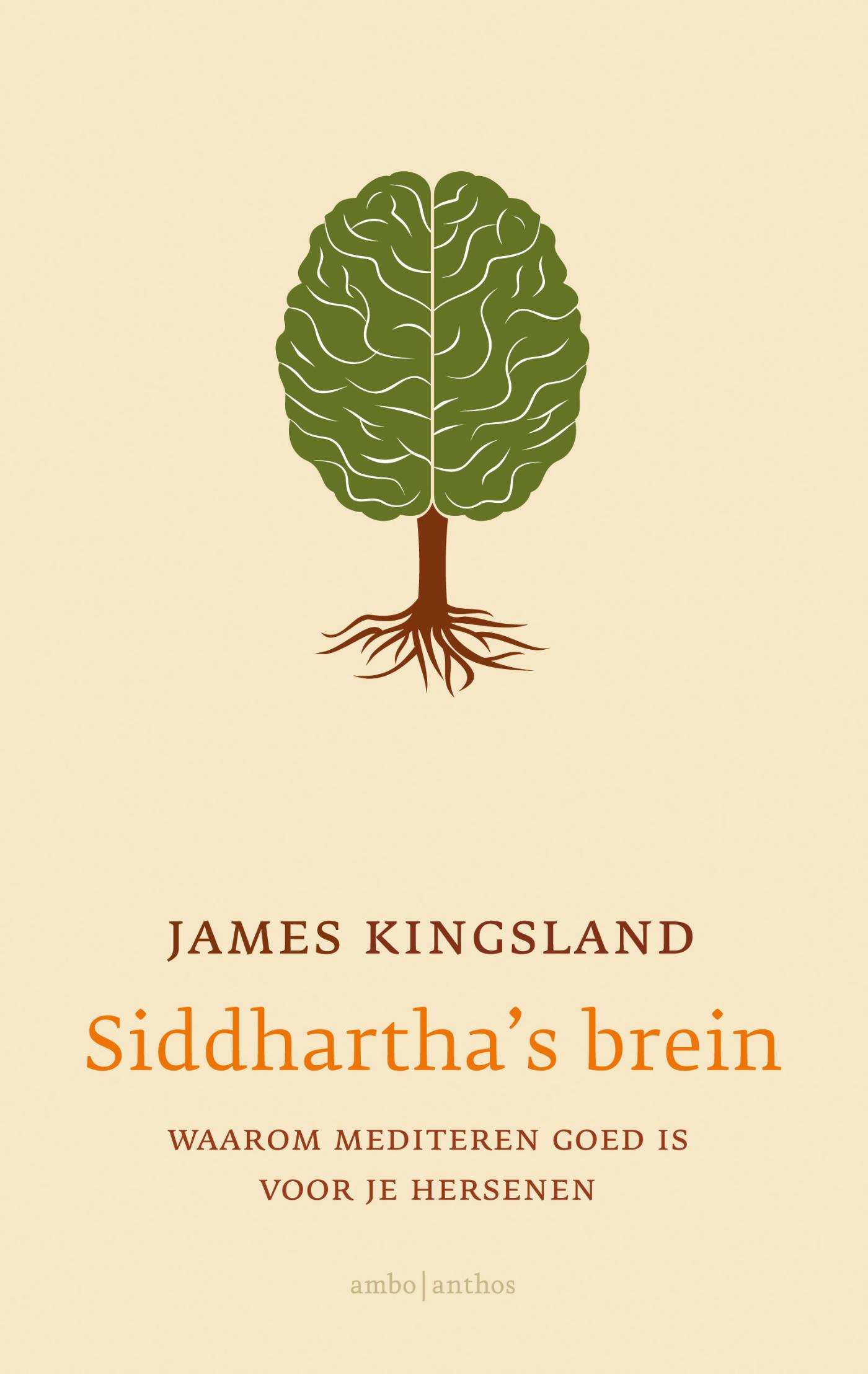 Siddhartha's brein (Ebook)