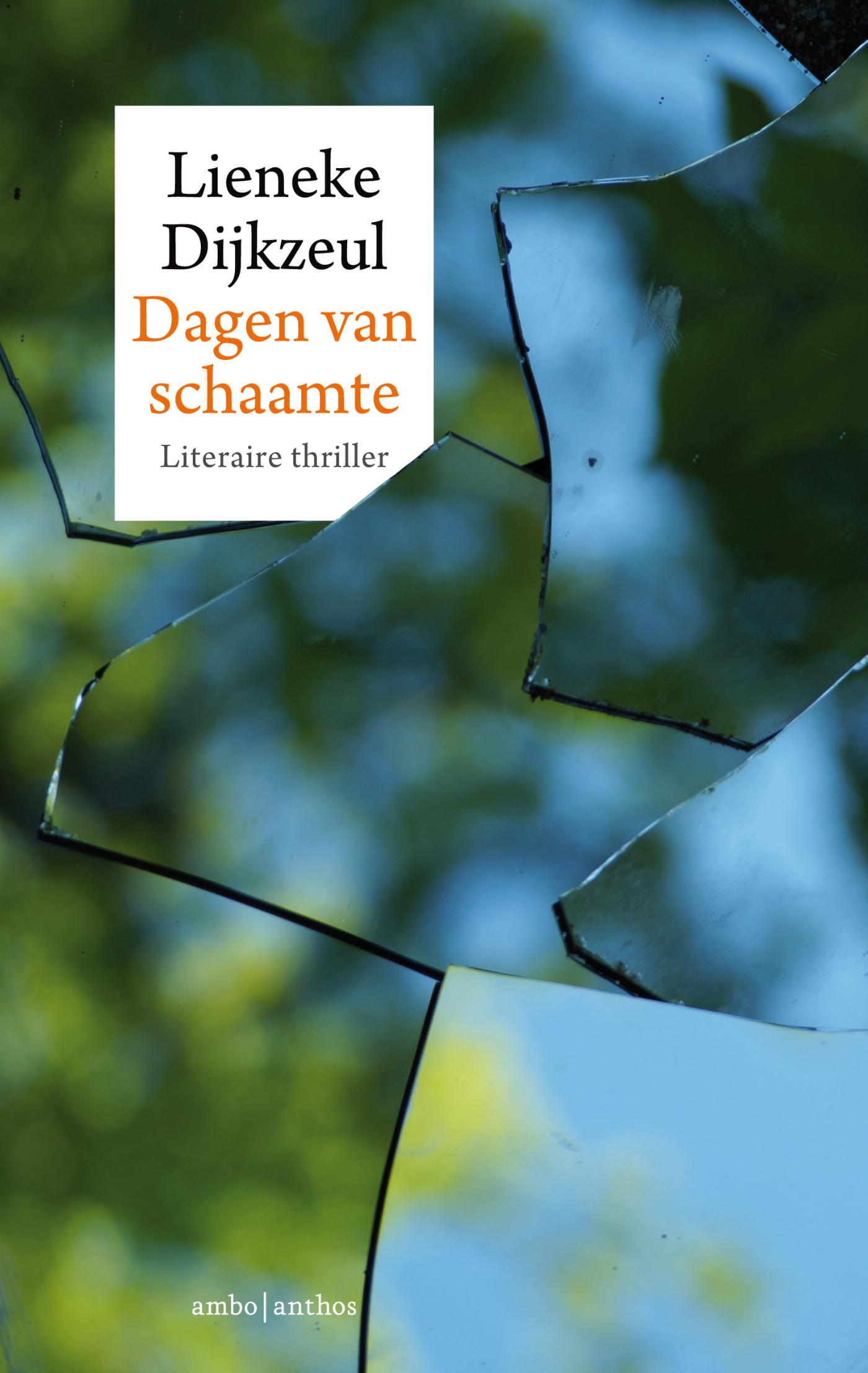 Dagen van schaamte (Ebook)