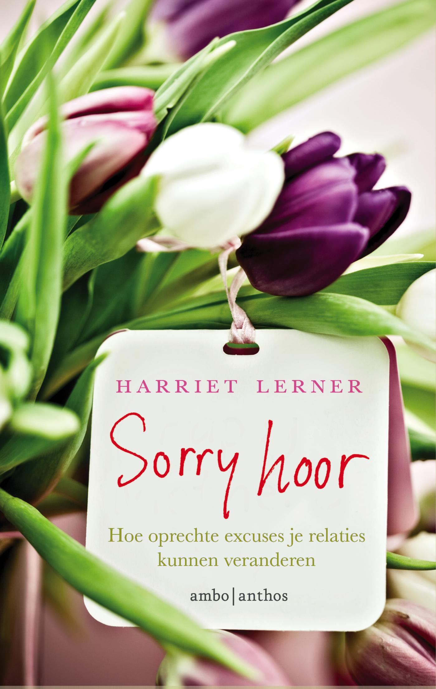 Sorry hoor (Ebook)